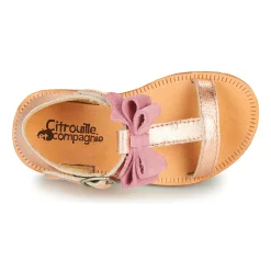 Citrouille et Compagnie - MELINDA