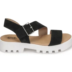 Clearance Citrouille et Compagnie - PIPOTI Noir