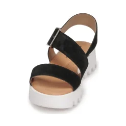 Clearance Citrouille et Compagnie - PIPOTI Noir