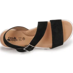 Clearance Citrouille et Compagnie - PIPOTI Noir