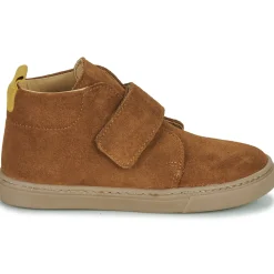 Citrouille et Compagnie - FOJAMO Camel Outlet