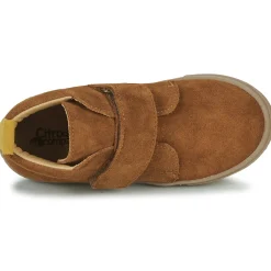 Citrouille et Compagnie - FOJAMO Camel Outlet