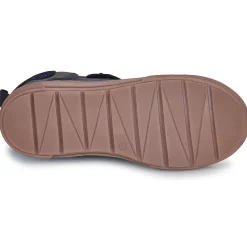 Citrouille et Compagnie - TILOU Marine