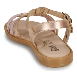 Citrouille et Compagnie - ROLUI Vieuxrose Hot