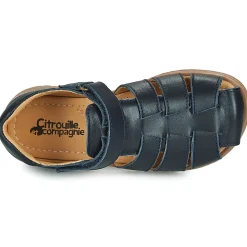 Citrouille et Compagnie - FRINOUI