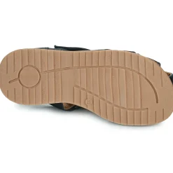 Citrouille et Compagnie - FRINOUI