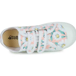 Online Citrouille et Compagnie - MINOT Fleursrose