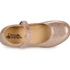 Best Citrouille et Compagnie - LOCOLA Doré