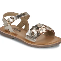 Citrouille et Compagnie - FLEURS Gold