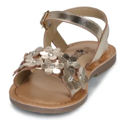 Citrouille et Compagnie - FLEURS Gold