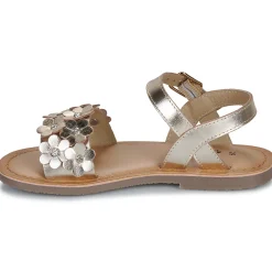 Citrouille et Compagnie - FLEURS Gold