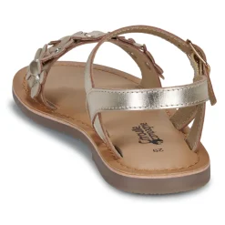 Citrouille et Compagnie - FLEURS Gold