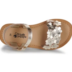 Citrouille et Compagnie - FLEURS Gold