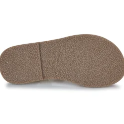 Citrouille et Compagnie - FLEURS Gold