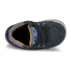 Citrouille et Compagnie - PALLA