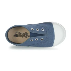 Citrouille et Compagnie - RIVIALELLE