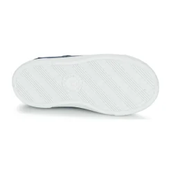 Citrouille et Compagnie - RIVIALELLE