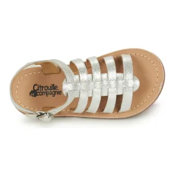 Citrouille et Compagnie - MAYANA