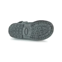 Citrouille et Compagnie - BRINDIL Marine New