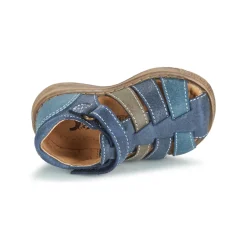 Citrouille et Compagnie - FRINOUI