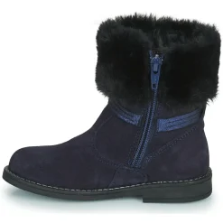 Citrouille et Compagnie - PICOTA