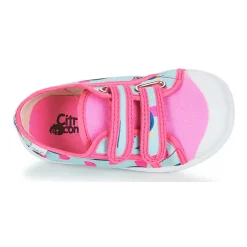 Hot Citrouille et Compagnie - GLASSIA Multicolore