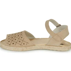 Citrouille et Compagnie - DEMINO