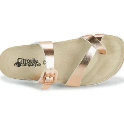 Clearance Citrouille et Compagnie - OMILA Rosedoré