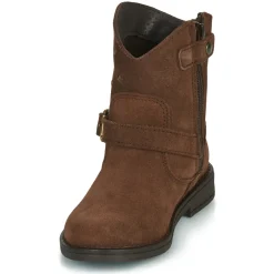 Best Citrouille et Compagnie - NESTI Marron