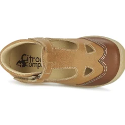 Citrouille et Compagnie - IARTIALAN