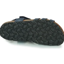 Best Citrouille et Compagnie - JANISOL Bleu