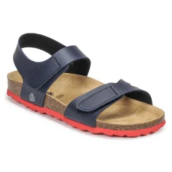 Citrouille et Compagnie - BELLI JOE