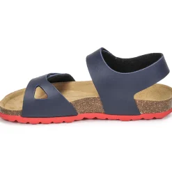 Citrouille et Compagnie - BELLI JOE