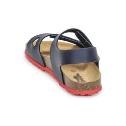 Citrouille et Compagnie - BELLI JOE