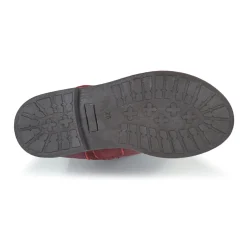 Citrouille et Compagnie - HANDRE