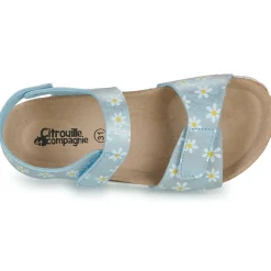 Clearance Citrouille et Compagnie - SUPERDAY Imprimépaquerette