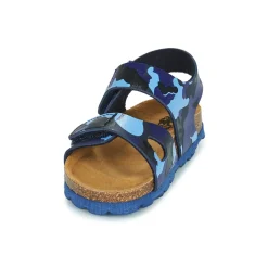 Citrouille et Compagnie - BELLI JOE