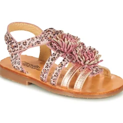 Citrouille et Compagnie - MARINAS