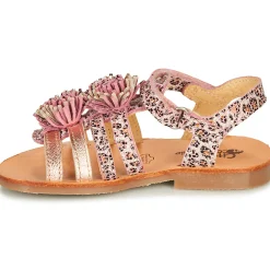 Citrouille et Compagnie - MARINAS