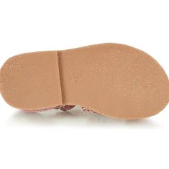 Citrouille et Compagnie - MARINAS