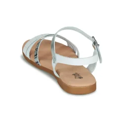 Citrouille et Compagnie - OBINOU Blancargent