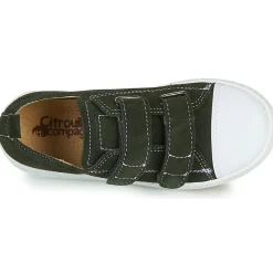 Citrouille et Compagnie - NADIR Kaki