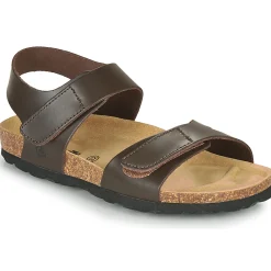 Citrouille et Compagnie - BELLI JOE Marron