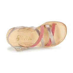 Citrouille et Compagnie - GENTOU Hot