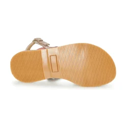 Citrouille et Compagnie - GENTOU Hot