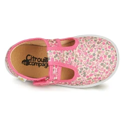 Hot Citrouille et Compagnie - MATITO Rosemulticolore