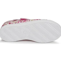 Citrouille et Compagnie - APSUT