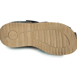 New Citrouille et Compagnie - FRINOUI