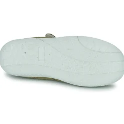 Citrouille et Compagnie - FIJOSAN Kaki Best