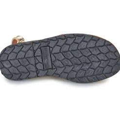 Citrouille et Compagnie - PAILETTE Gold Discount